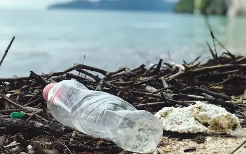 Contaminación de mares