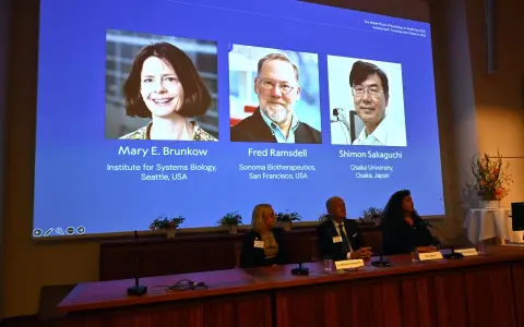 Mary E. Brunkow, Fred Ramsdell y Shimon Sakaguchi 