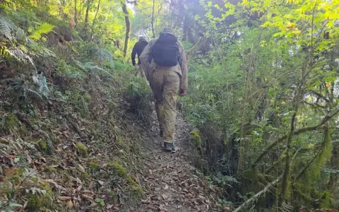 Fuego en el Elefante