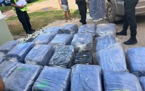 Cargamento de hojas de coca.