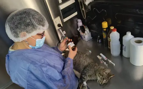Intervención de animales