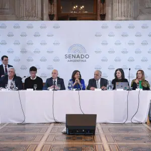 Senadores atrasan la ley contra la ludopatía mientras los adictos dicen: "No quería que Messi meta el gol en la final del Mundial"