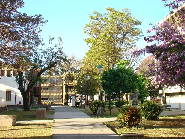 UNSa caso Tejerina