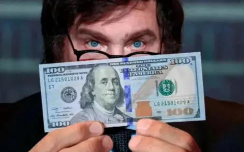 Milei y el dólar