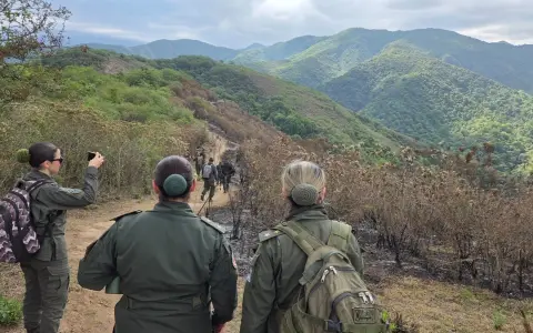 Investigacion en el caso Cordeyro.
