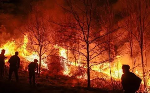 Incendio forestal originado en Bolivia afecta más de 16.000 hectáreas en el Chaco paraguayo