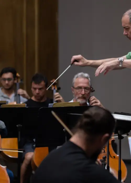 Orquesta sinfónica 