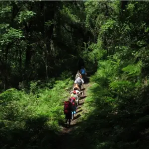 Reabren los senderos de Las Yungas en San Lorenzo tras investigación e incendios