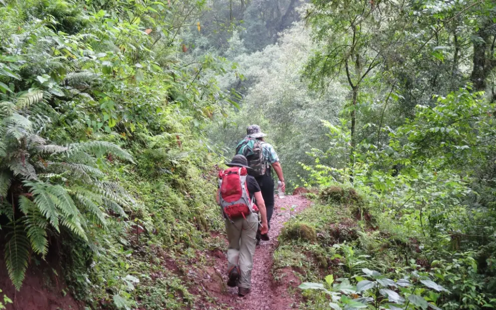 Las Yungas San Lorenzo