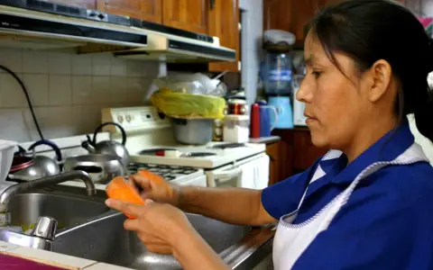Empleada de casas particulares