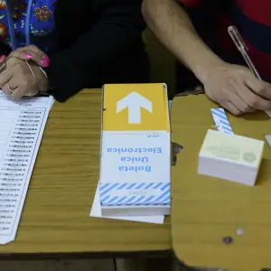 En detalle: ¿Qué votamos los salteños este domingo?