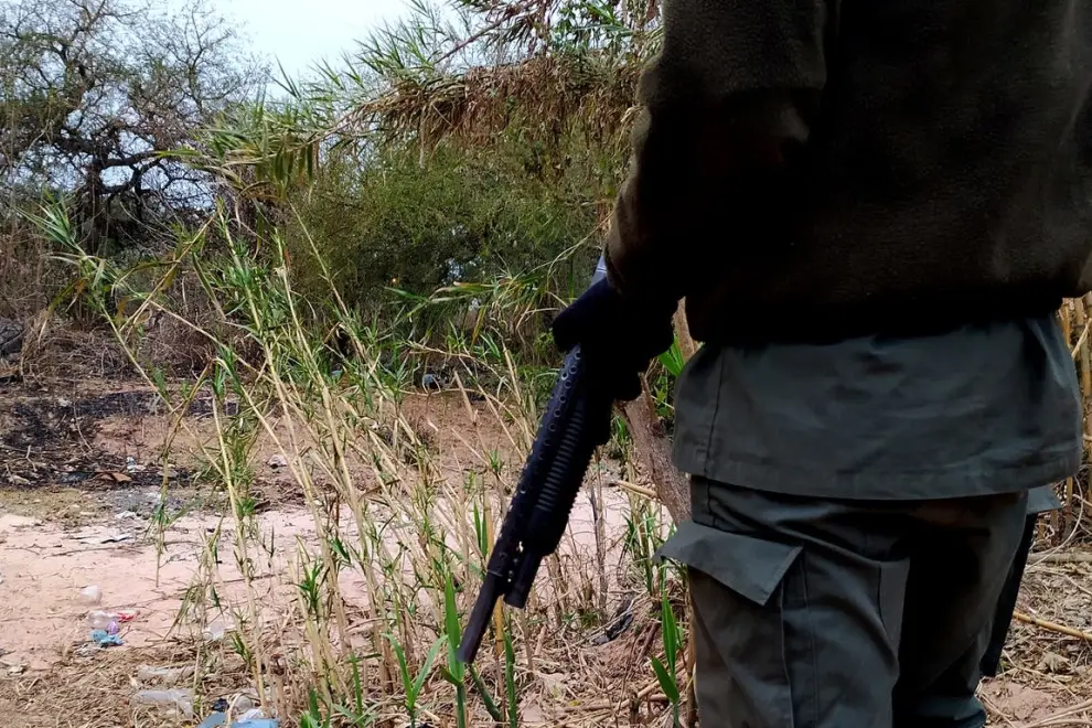 Despliegue de las fuerzas federales en el norte argentino.