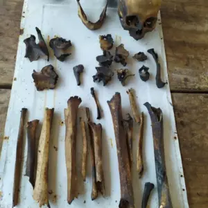 Se investiga el hallazgo de restos óseos en una finca de Las Lajitas