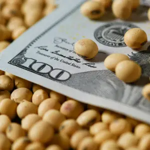 Acuerdo entre Estados Unidos y China por la soja podría derrumbar las exportaciones salteñas