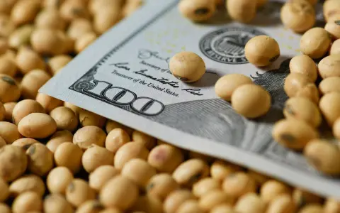 El acuerdo entre Estados Unidos y China podría contraer el precio internacional de la soja e impactar en la producción local.
