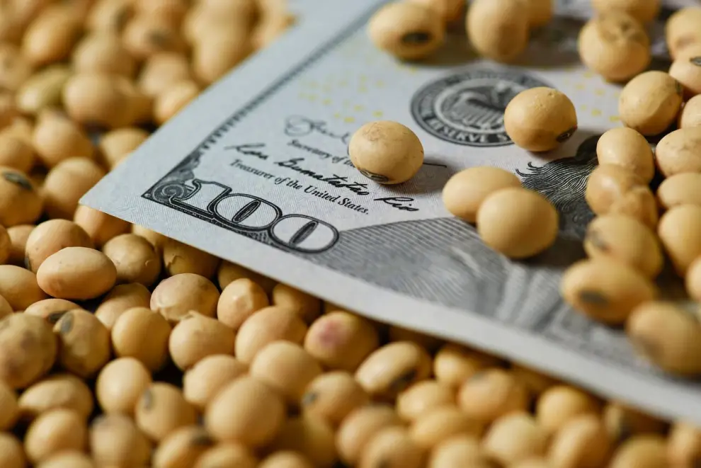 El acuerdo entre Estados Unidos y China podría retraer el precio internacional de la soja e impactar en la producción local.