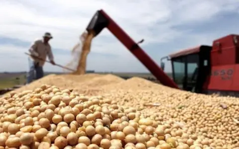 Producción de soja en Salta (intra)