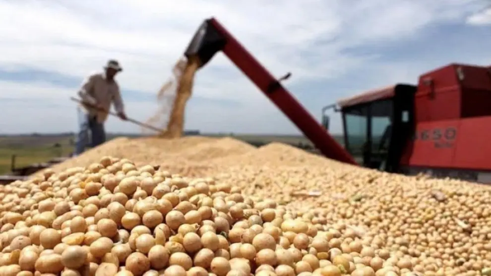 Producción de soja en Salta (intra)