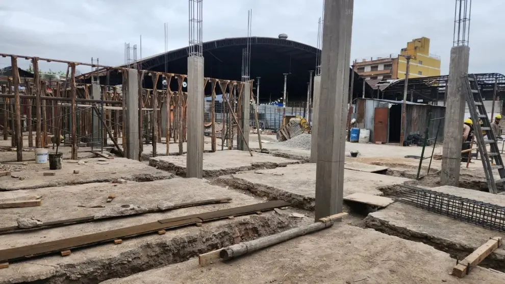 Lobras en el mercado.