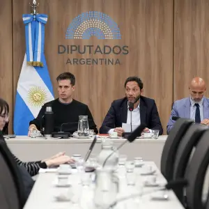 Aseguran que Milei, Karina y el fiscal Taiano, son el trípode de una misma estafa