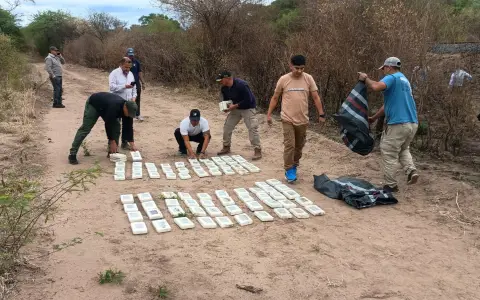Los "ladrillos" con cocaína.