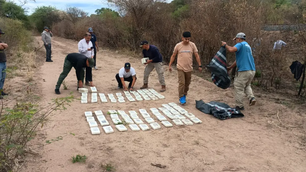 Los "ladrillos" con cocaína.