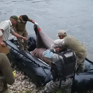 Encontraron el cuerpo de un bagayero argentino flotando en el río Bermejo