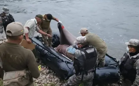 Efectivos del Área Naval de Bolivia sacan el cuerpo del río Bermejo