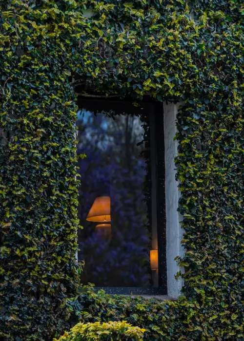 House of Jasmine - Habitación con historia de amor