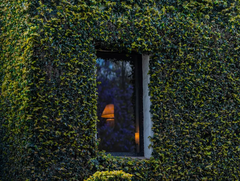 House of jasmine