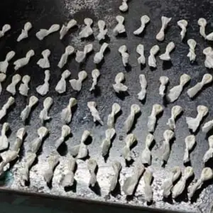 Panchería narco: Imputan a una mujer por venta de droga en Salta
