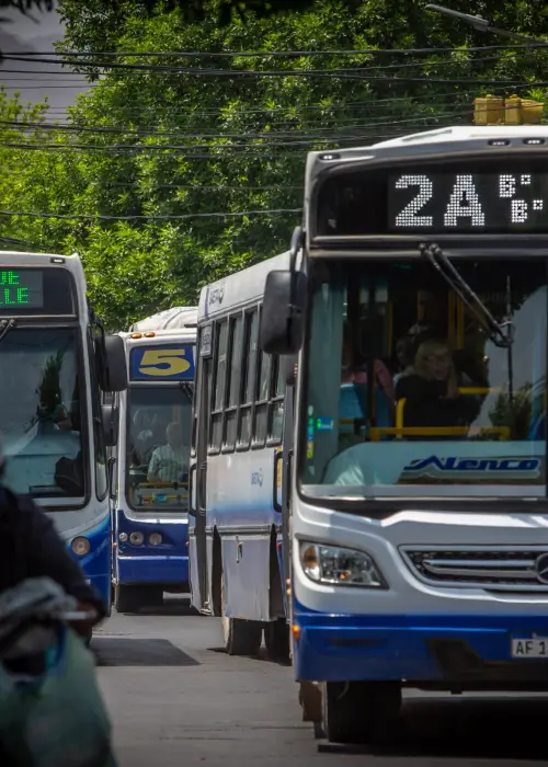 ¡Atención Estudiantes! Habilita tu Pase Libre para Ingresantes universitarios 