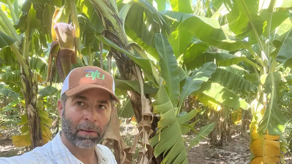 Fernando Ortiz productor