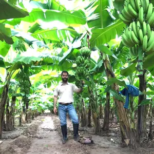 "Salta no necesita una emergencia agropecuaria, necesita que el Gobierno le de pelota"