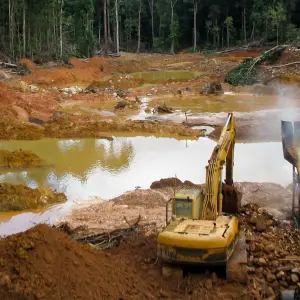 Debates sobre el cuidado del ambiente: ¿Tu celular amenaza la Amazonía?