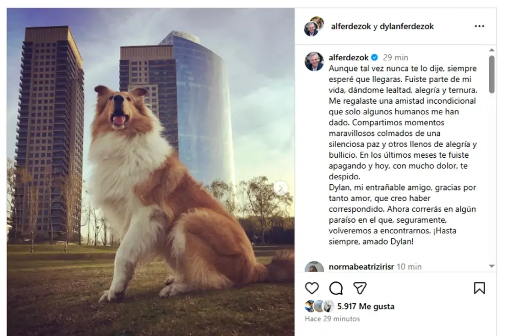 El posteo de Alberto Fernández en instagram