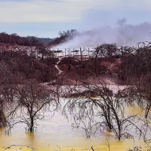 Alarma mundial por el "chernobyl salteño" que amenaza la biodiversidad y desplaza comunidades originarias