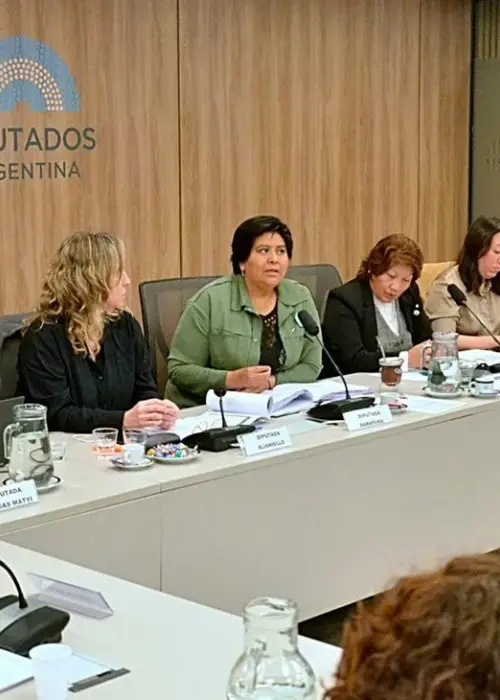 Elección Defensor