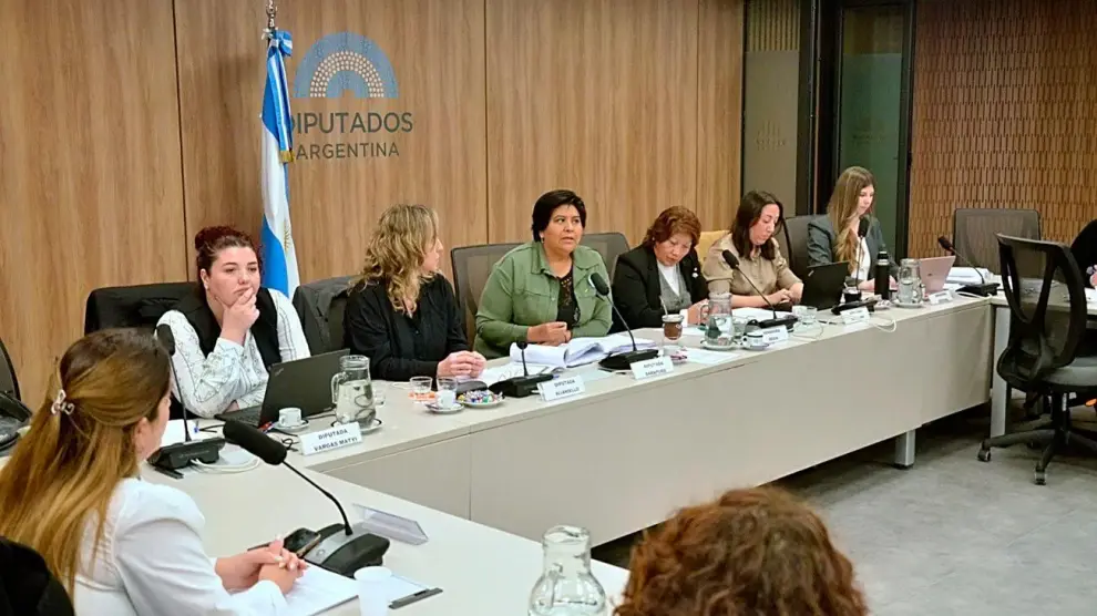 Elección Defensor