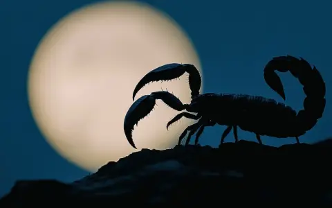 Luna Nueva en Escorpio