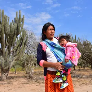 Aborto: ¿Protección o peligro oculto en un proyecto de ley para mujeres indígenas en Salta?