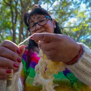 Teófila Urbano: la tejedora que hilvana tradición y resiliencia en Salta