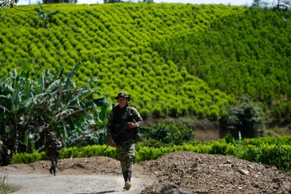 Colombia es uno de los mayores productores de cocaina.
