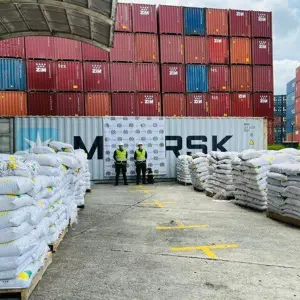 Golpe histórico al narcotráfico: decomisaron más de 13 toneladas de cocaína