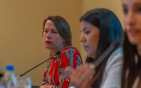 10 años del Observatorio de Violencia contra las Mujeres Ana Pérez Declercq