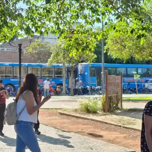 Orán sin transporte público: Lara Gros aseguró que el municipio no subsidiará una empresa privada