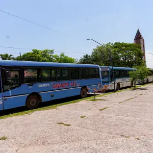 Viajar en Orán: una de las ciudades del país con transporte público más caro