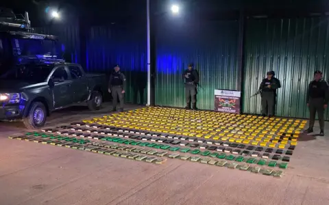 La droga decomisada por Gendarmería Nacional