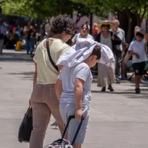 Presentan un proyecto de ley para que Anses iguale los montos de SUAF y AUH 
