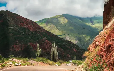 Salta